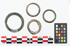 Foto von Bronzering (NHMW-PRAE-025418)
